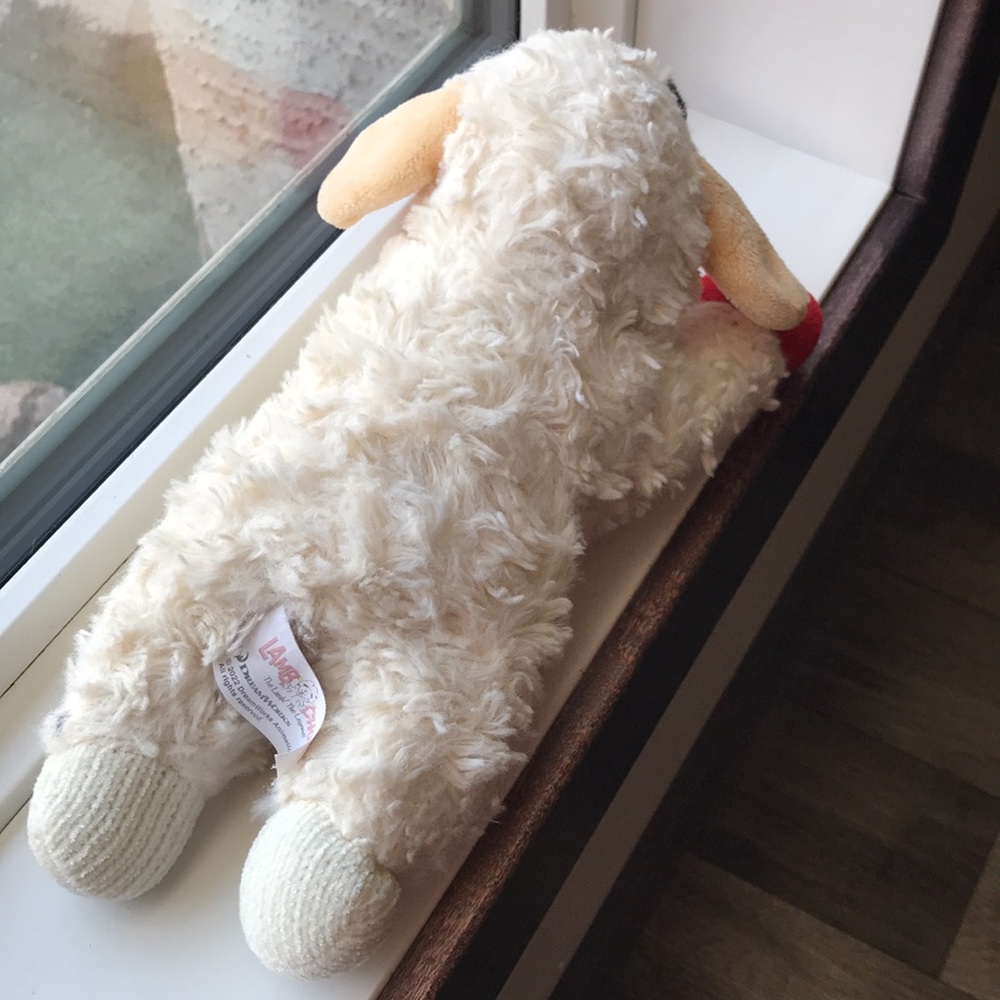 Mini Lamb Chop 🐑 - Picture 3 of 4